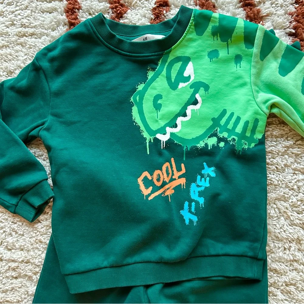 H&M Cool T-Rex Dino Graphic Cotton Terry Sweatpant Top Outfit Dark Green Size 4T